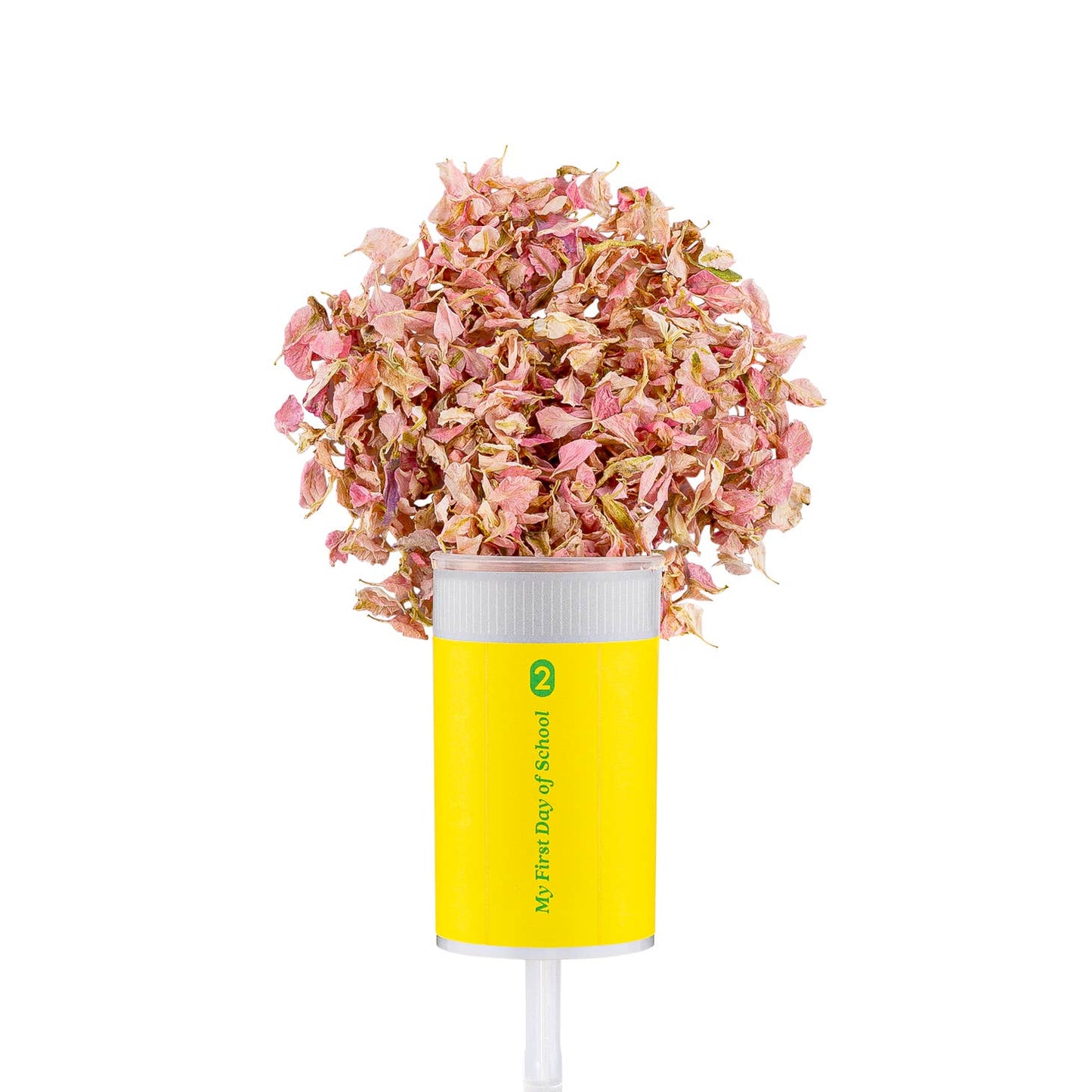 First Day of School Pencil Confetti Popper - Favorite Little Things Co