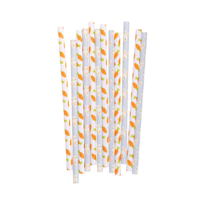 Bunny/Carrot Reusable Straws