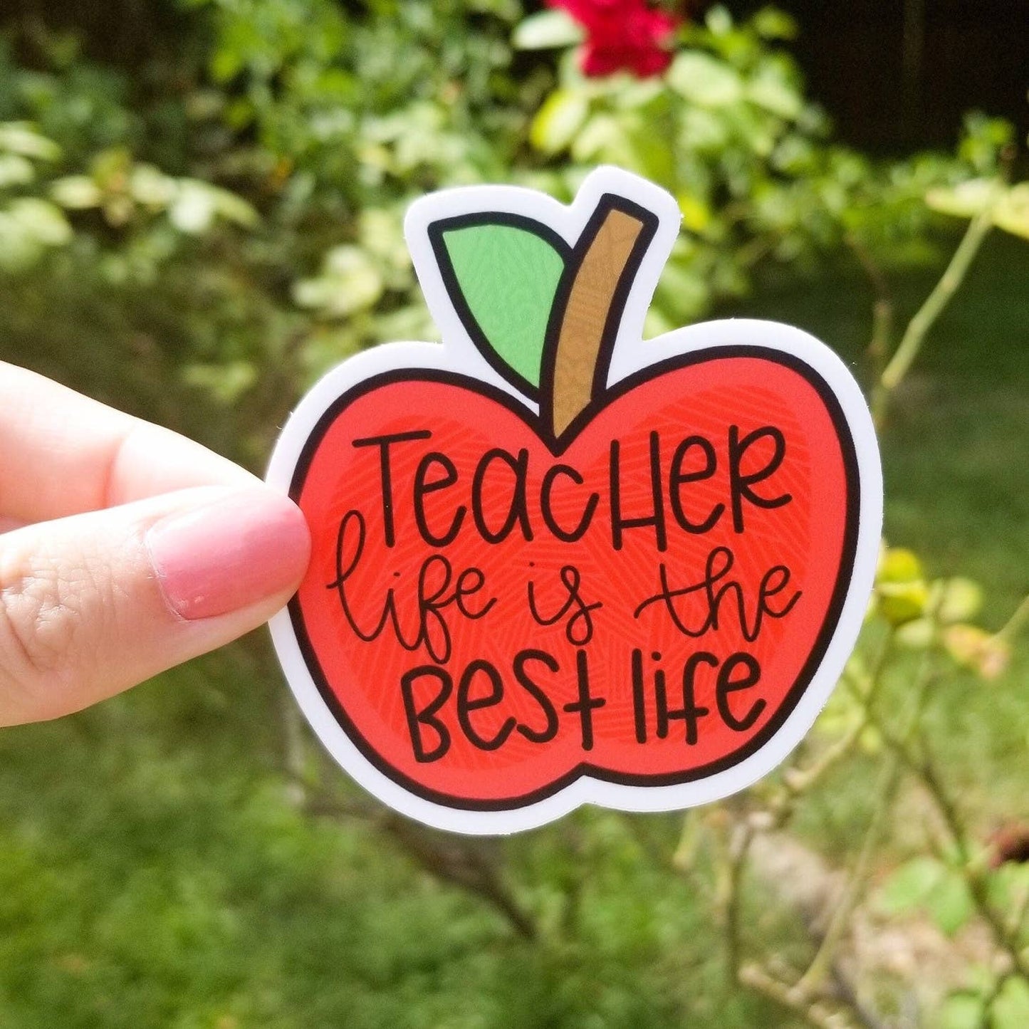 Teacher Stickers - Multiple Styles