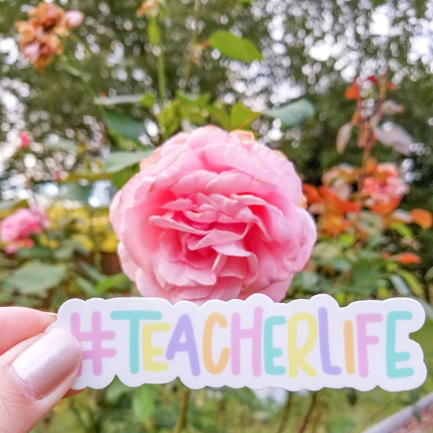 Teacher Stickers - Multiple Styles
